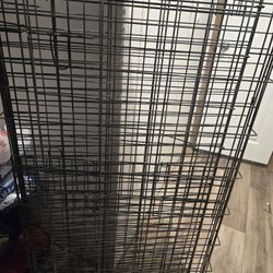Xl Dog Kennel