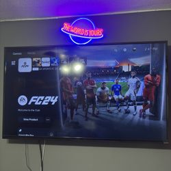 65” Tv Vizio