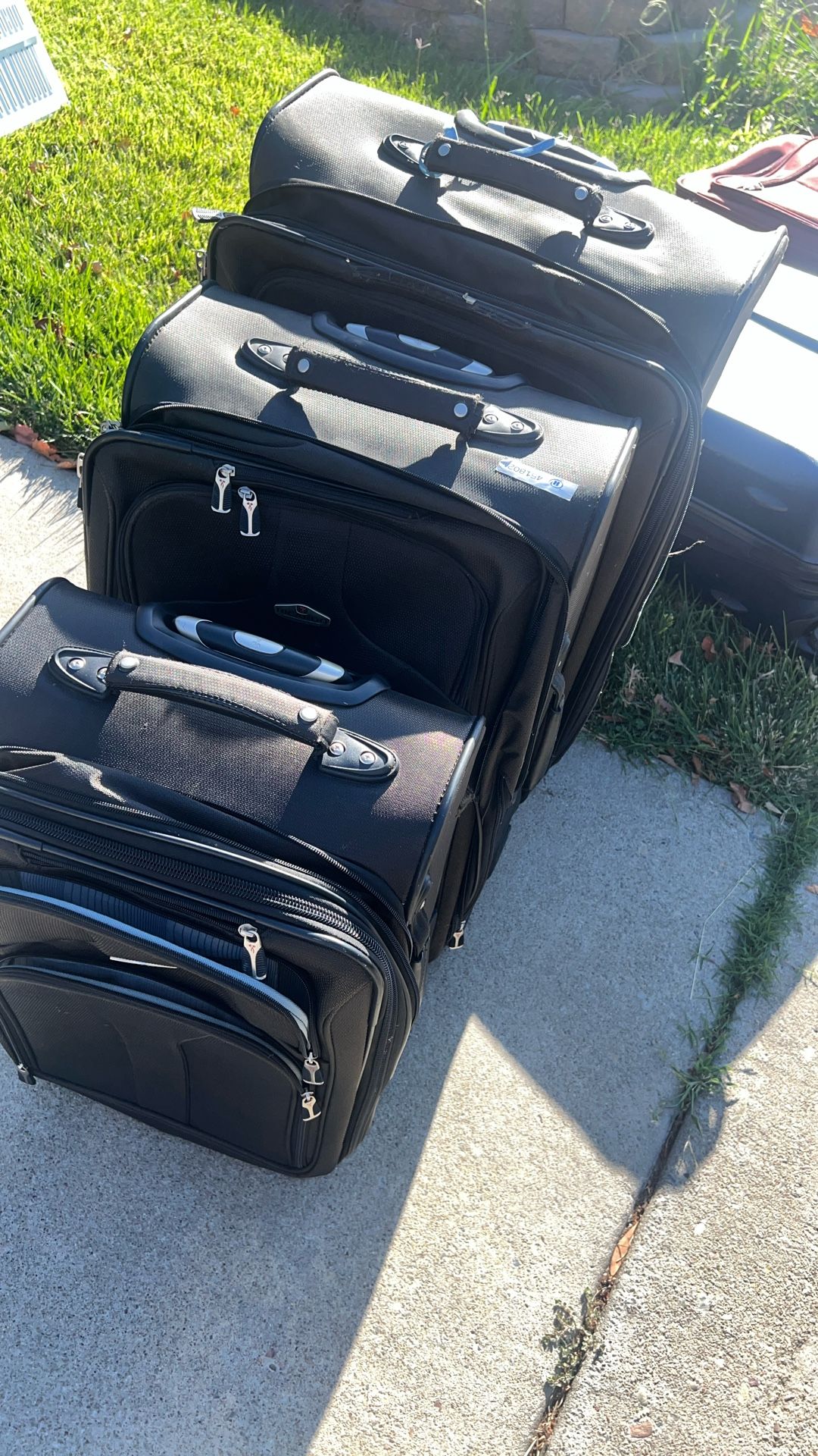 Ricardo luggage Set