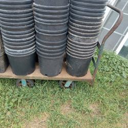 5 Gallon Nursery Plant Pot's 