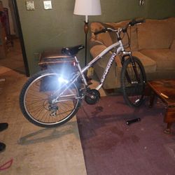 Schwinn Mountain Bike