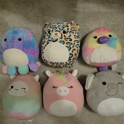 Squishmallow 