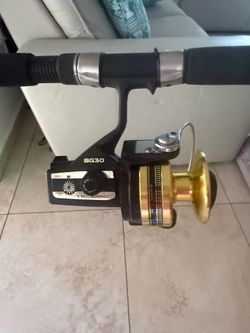 Daiwa BG30 fishing reel and rod