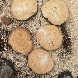 White Ash Hard Wood Center Pieces 