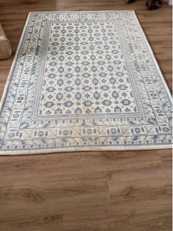 5’x7’ Area Rug - blue floral pattern