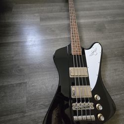 Thunderbird Bass Amp And Effects 
