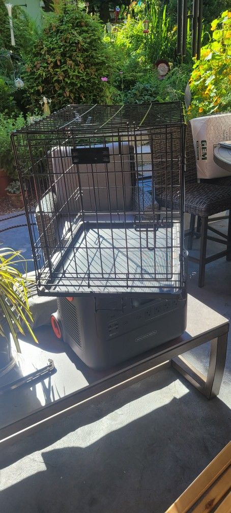 Dog Kennel (Medium Size)