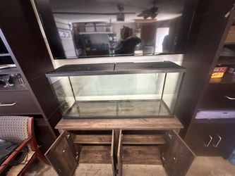 60 Gal Fish Tank 