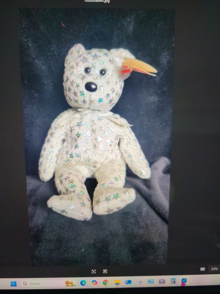 The Beginning Beanie Baby