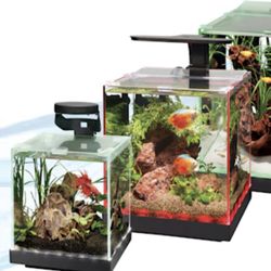 FISH TANK