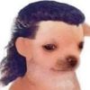 Erik