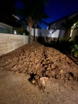 Dirt