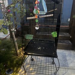 Jaula De Pájaros  / Bird Cage 
