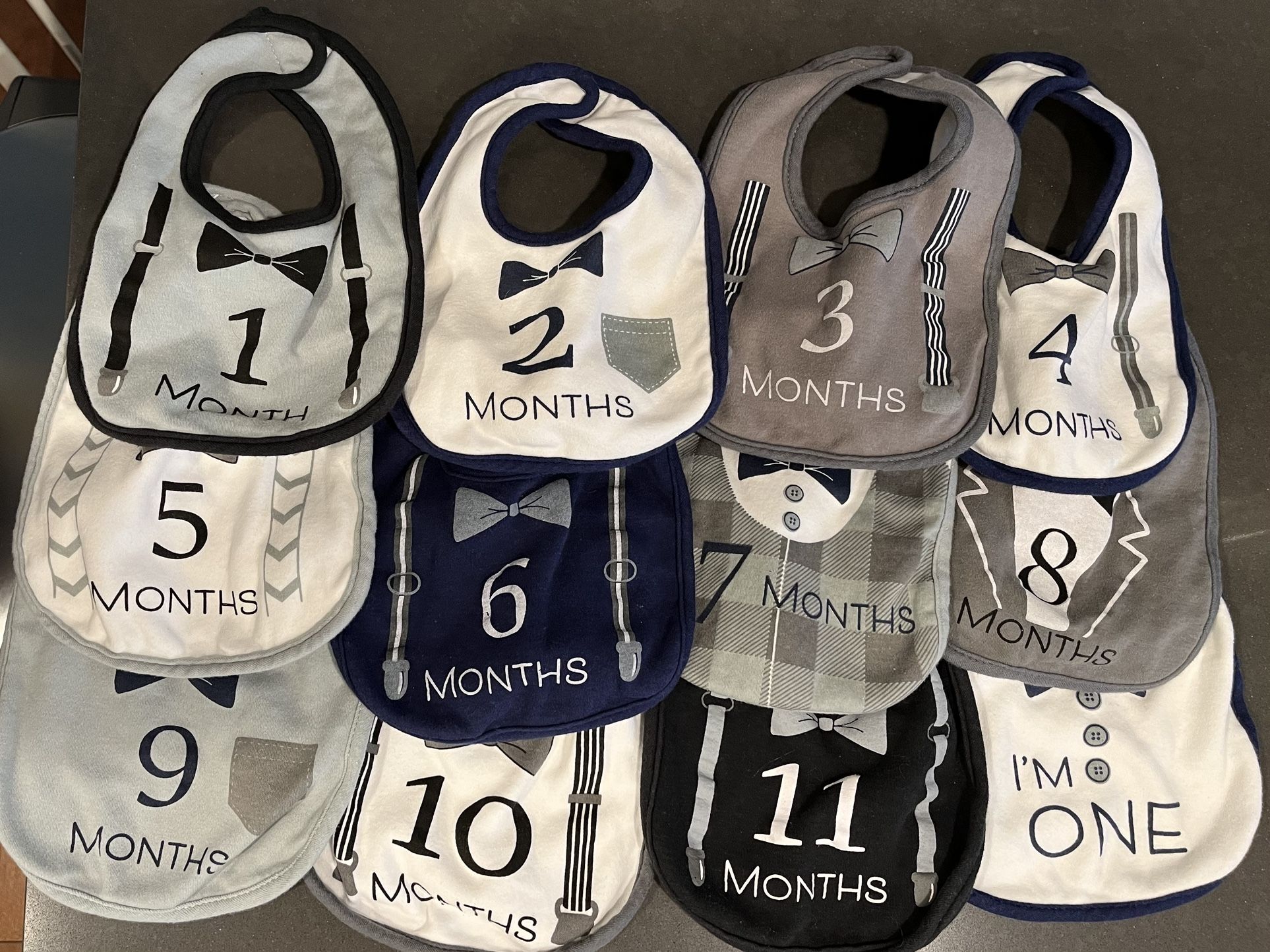 Baby Month Milestone Bibs