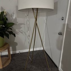 Elegant Floor Lamp