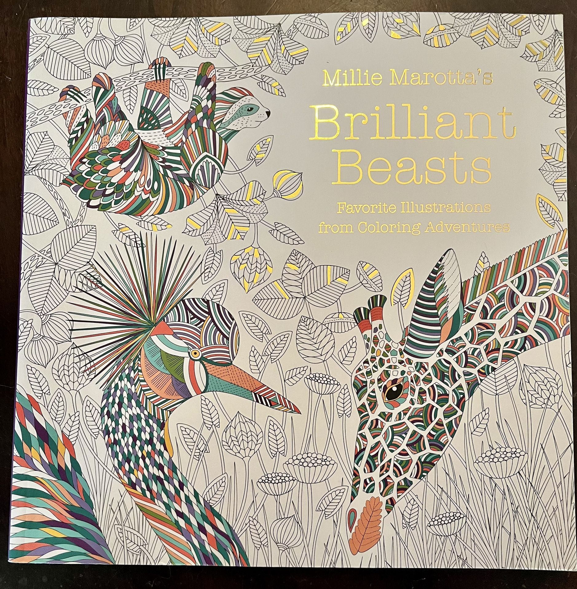 Coloring Book