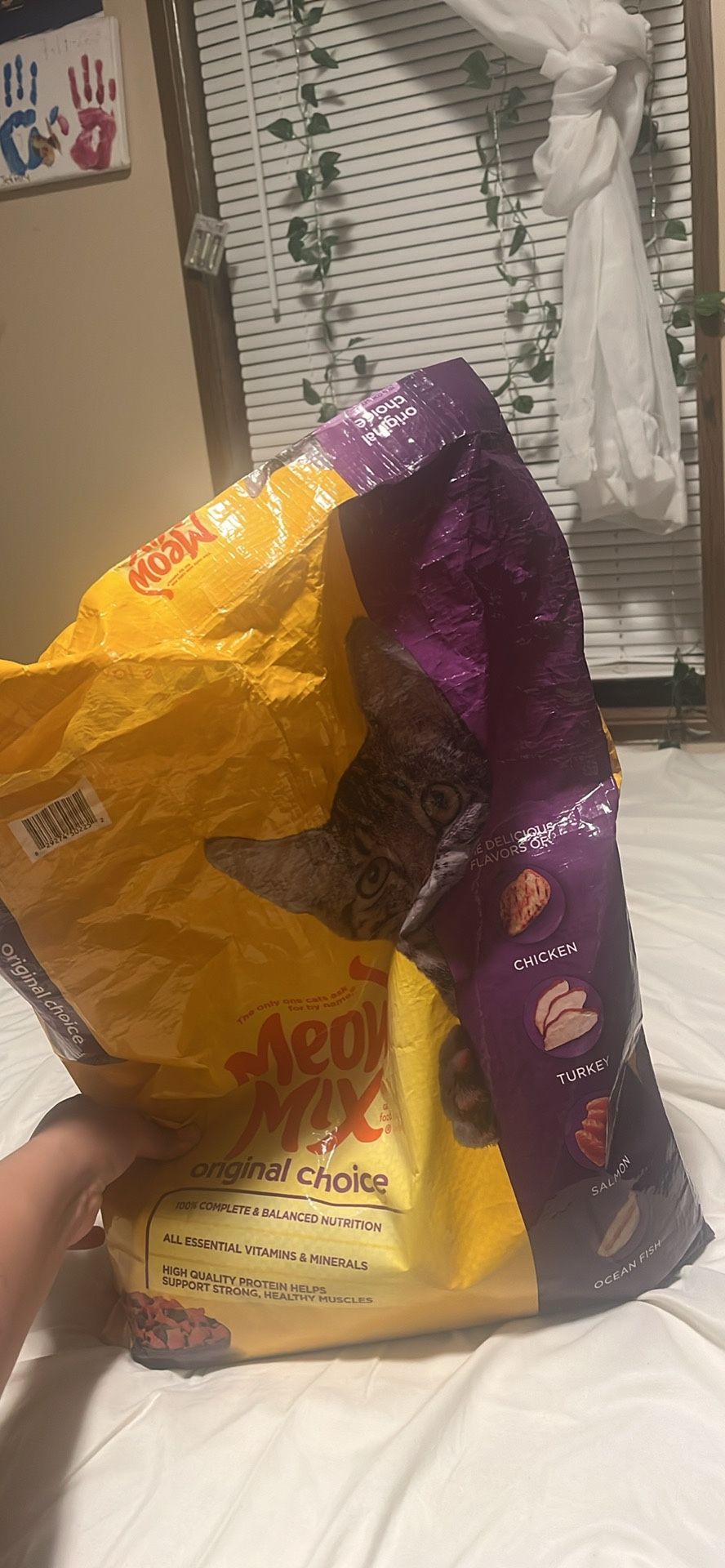 Cat Food $8 Less Then Half The Bag