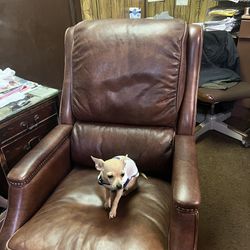 Hooker leather office chair dog not included $600 firm top grain leather by hooker