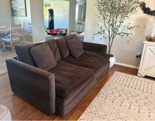 Crate & Barrel Brown Velvet Deep Sofa