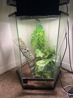 20 Gallon Reptile Hexagon Tank
