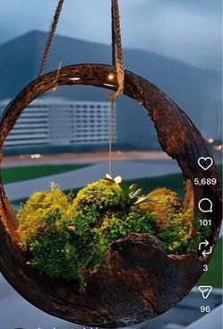 Plant Holder by Mogador