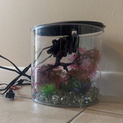 Fish tank 2 gallon with thermometer and filter