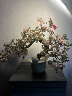 Jasmin Tree