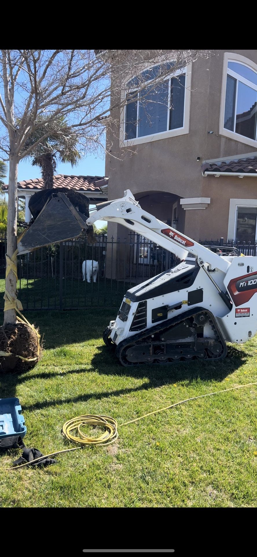 Bobcat 🦁 MT100