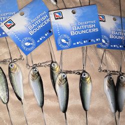 Baitfish Bouncers