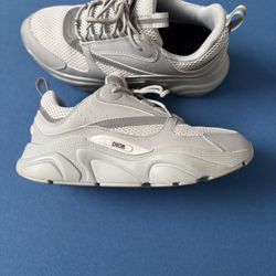 Dior b22 gray 