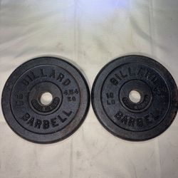 Two 10 Lb Weight Plates 