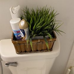 Bath Room Or Toilet Decor