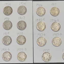 Buffalo Nickels Lot (23)