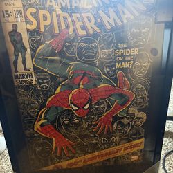 Spider-Man framed
