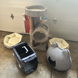Cat Supplies