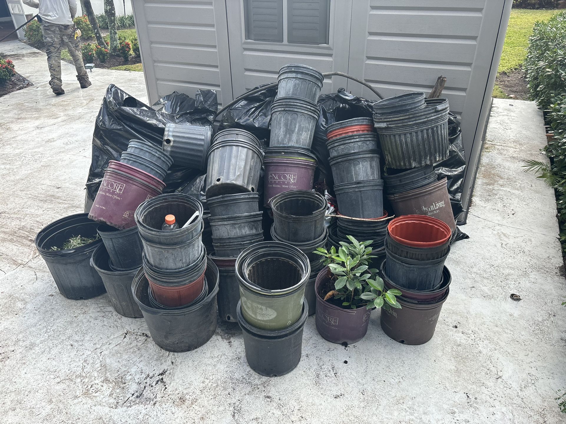 Pots