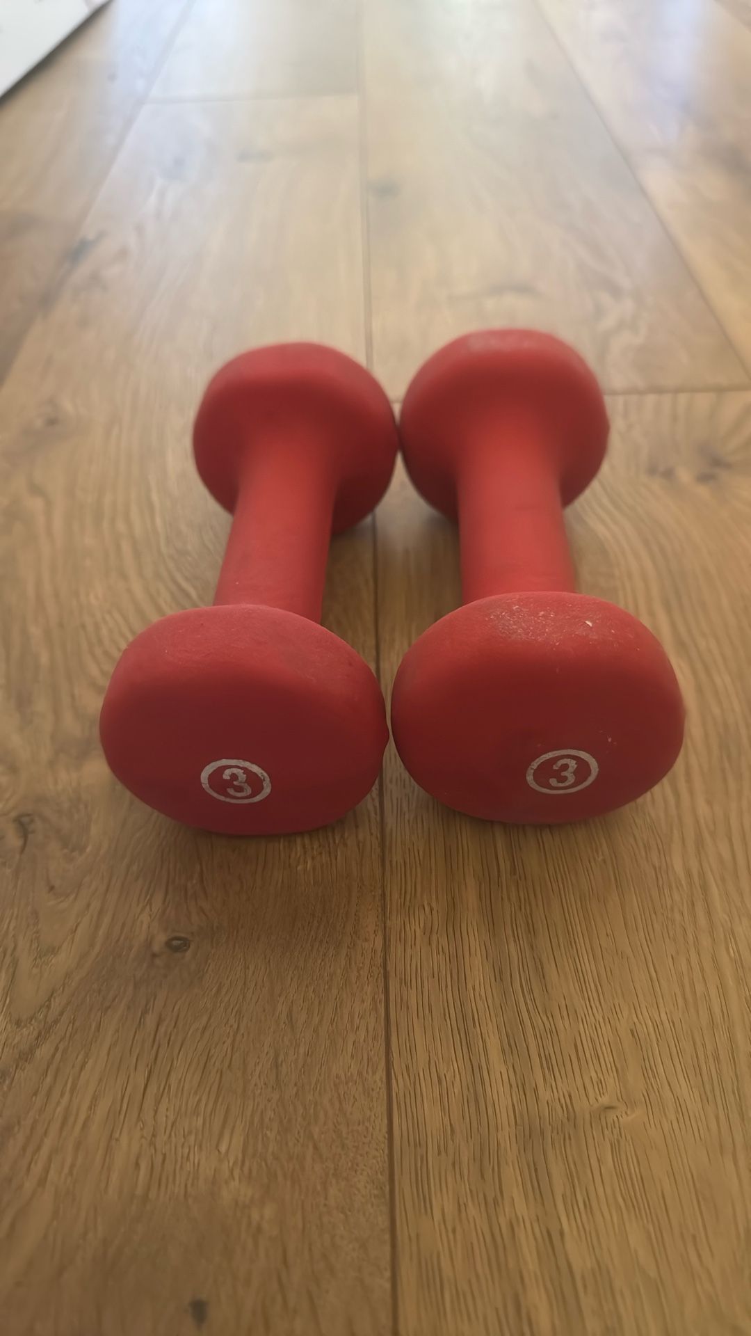 3lb Weights