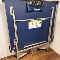 Professional Ping-Pong Table & Accessories