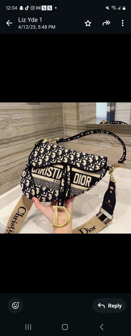 Dior Bag