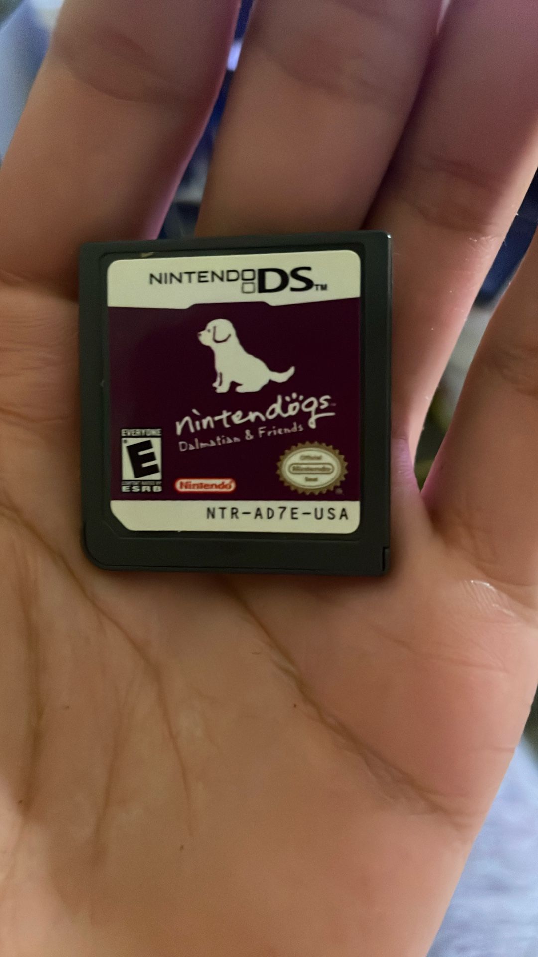 Nintendo Dalmation And Friends Ds