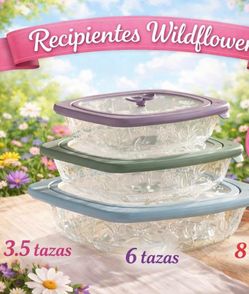 Recipientes Princess house