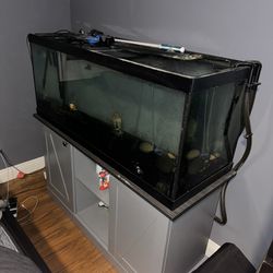 Aquarium Setup 75 Gallon Tank