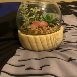 Fake Succulent Plant 