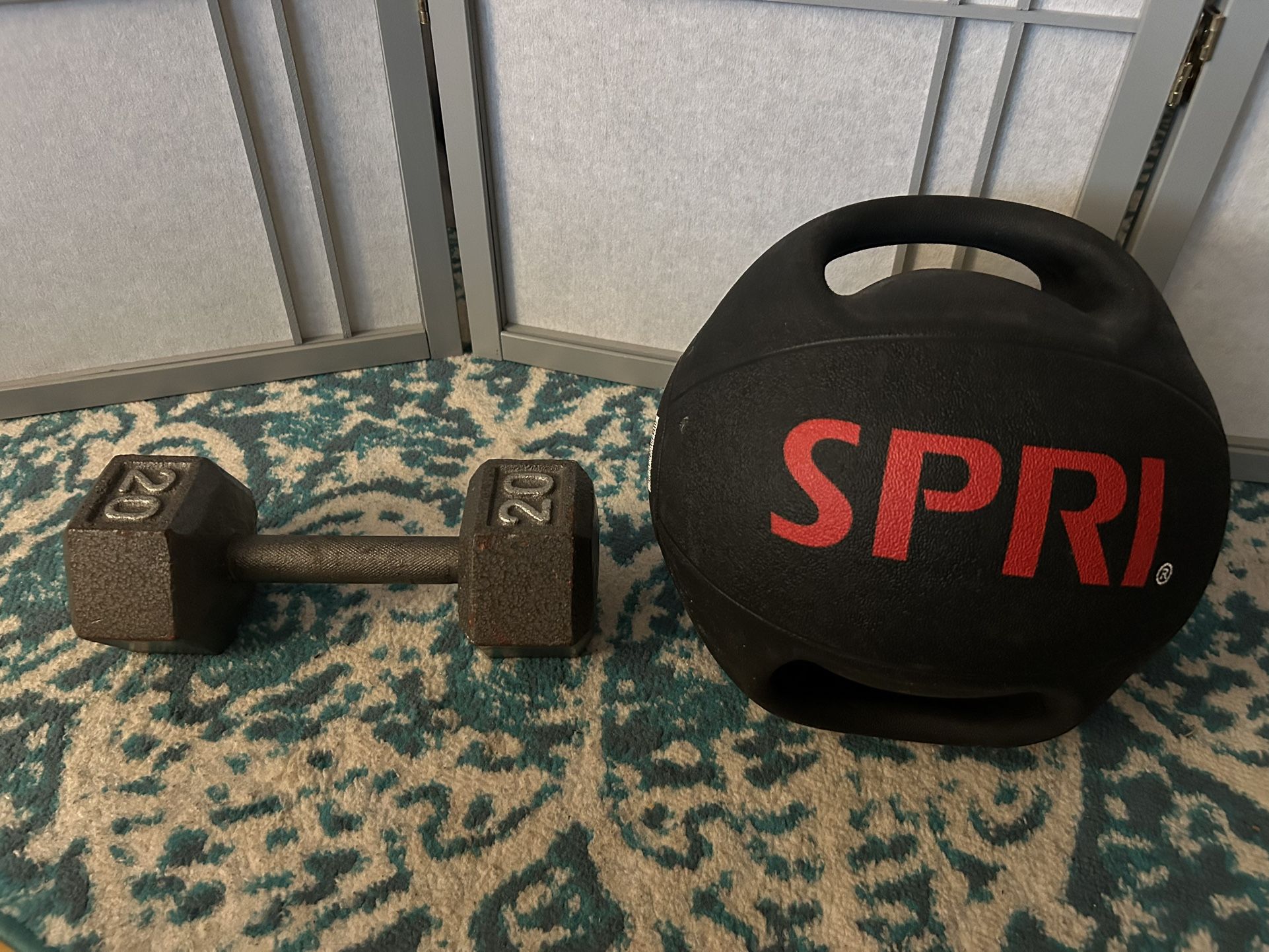 20 lb Dumbbell and 8 lb SPRI Medicine Ball