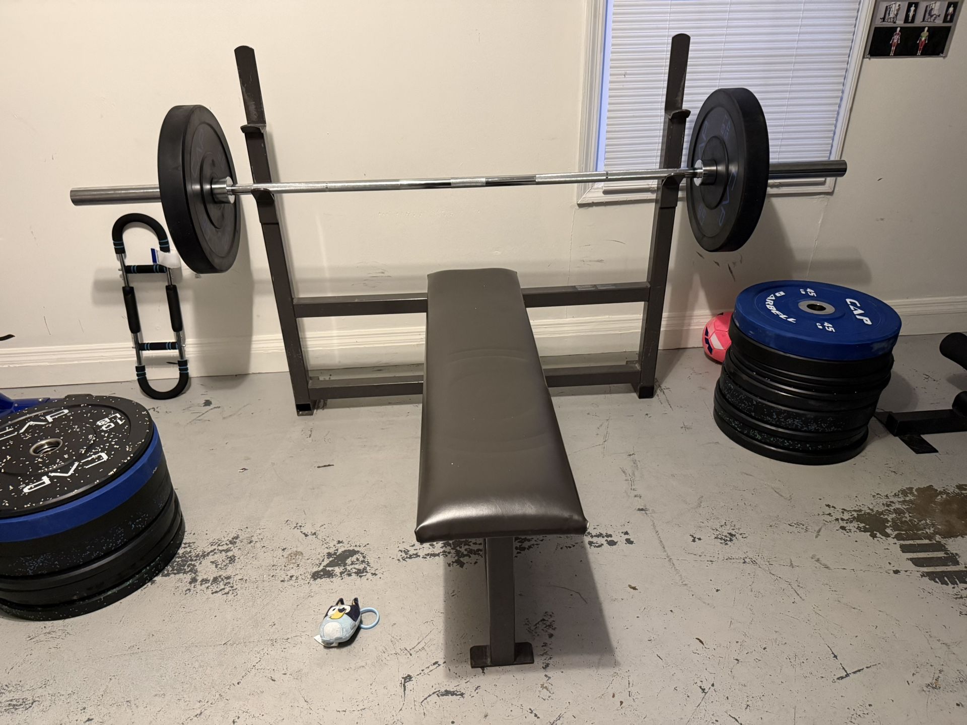 Flat Bench Press! (commercial) 