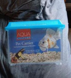 Pet Tank/carrier 