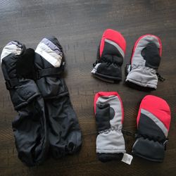 Snow Mittens