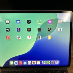 iPad Pro 12.9" - 512GB (Unlocked)