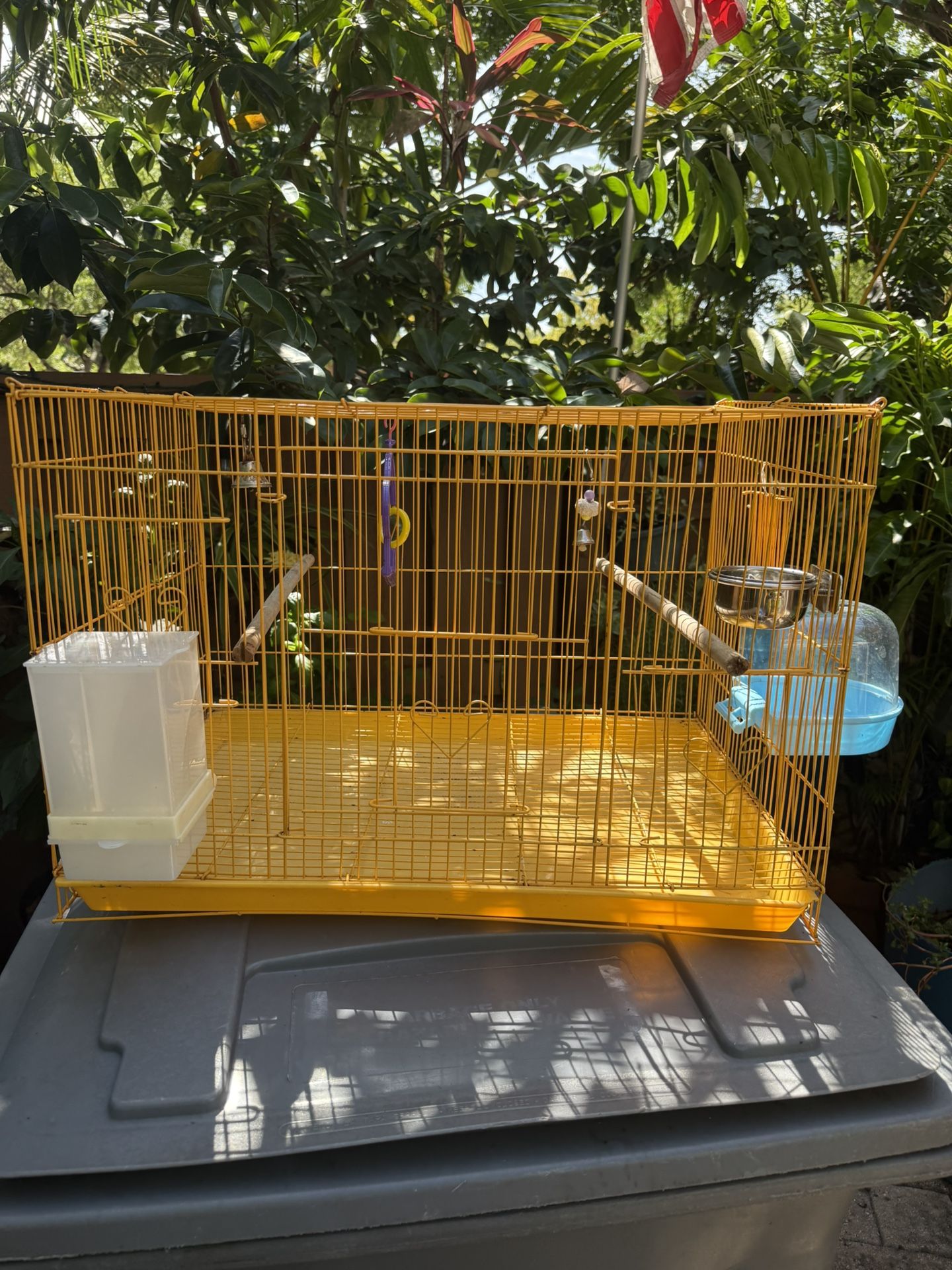 Bird Cage