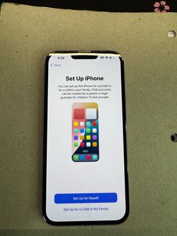 iPhone 13 Pro Max (Unlocked)